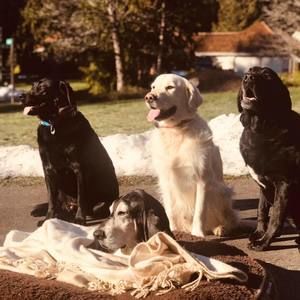 Meet your Posher, Carolyn